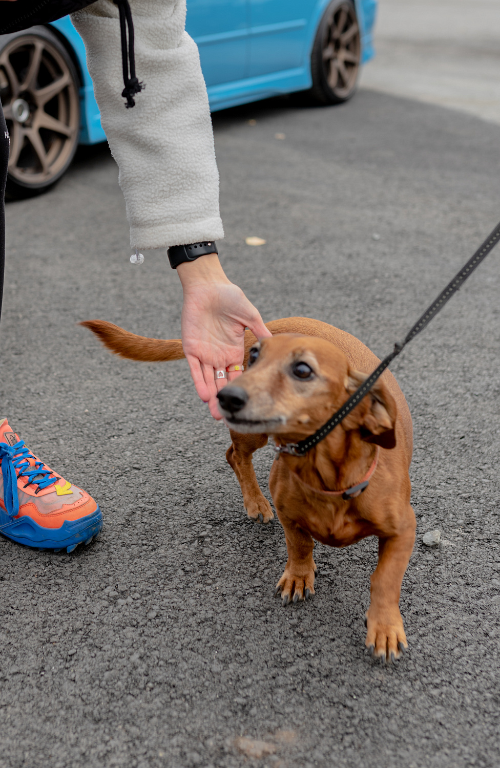 Фотоотчет с праздничного открытия в городе Е